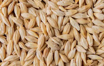 Shams Al Khuld For General Trading & Oil Services‏