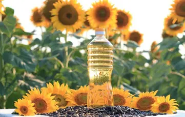 Shams Al Khuld For General Trading & Oil Services‏