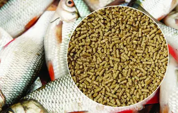 Shams Al Khuld For General Trading & Oil Services‏