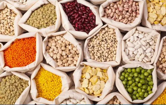 Shams Al Khuld For General Trading & Oil Services‏