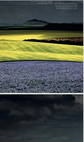 Shams Al Khuld For General Trading & Oil Services‏