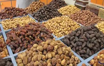 Shams Al Khuld For General Trading & Oil Services‏