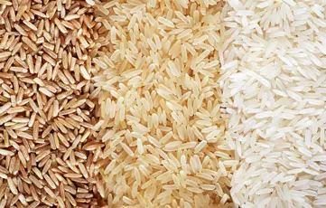 Shams Al Khuld For General Trading & Oil Services‏