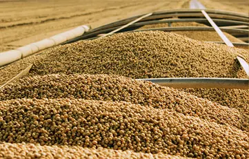 Shams Al Khuld For General Trading & Oil Services‏