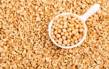 Shams Al Khuld For General Trading & Oil Services‏