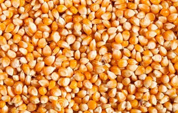 Shams Al Khuld For General Trading & Oil Services‏